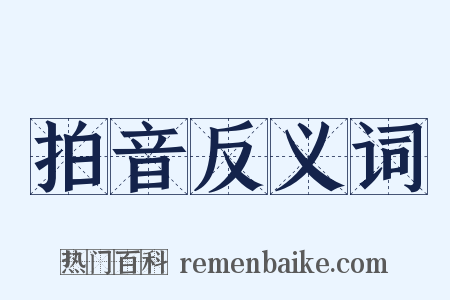 拍音反义词是什么意思的图片